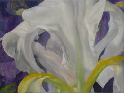 Kern Iris Galerie Altnoeder