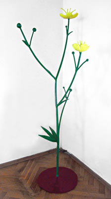 Thomas Stimm, Hahnenfuss, 2013, Galerie Altnöder Salzburg